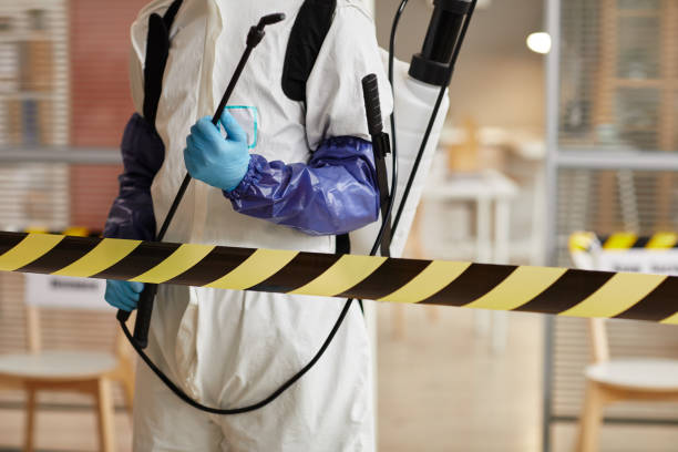 Professional Sewage Cleanup technician working in Danville, NH
